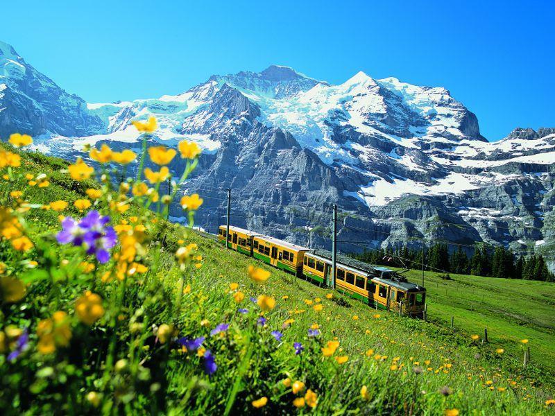Victoria Lauberhorn Wengen, A Faern Collection Hotel